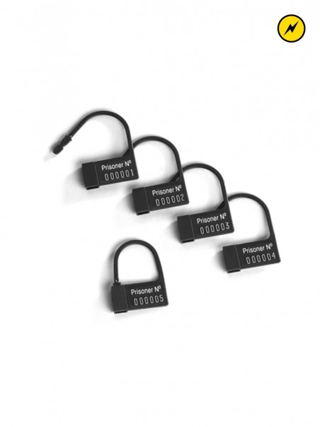 Mystim Cage électro Avec Sonde Pubic Enemy N°2 3 Mystim Cage électro Avec Sonde Pubic Enemy N°2 – Image 3