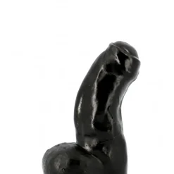 Gode All Black 16.5 X 5.1 Cm -Pas Cher Vestiaire Fetish Magasin gode all black 165 x 51 cm 3