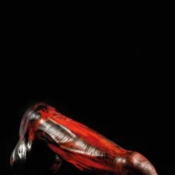 Gode Mammon - Twisted Beast -Pas Cher Vestiaire Fetish Magasin gode mammon twisted beast 3