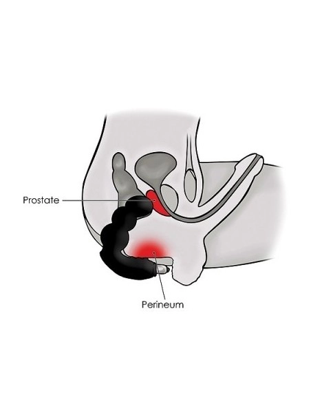 Autres Masseur De Prostate Big Boy Vibrant 15 X 4.5 Cm 1 Autres Masseur De Prostate Big Boy Vibrant 15 X 4.5 Cm